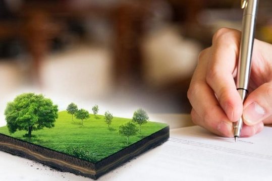 Утвердили признаки неиспользования земельных участков